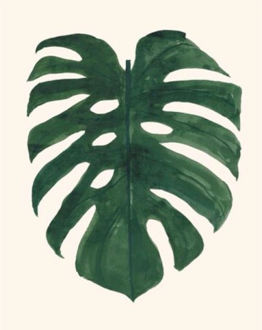 tumblr_o9r197T6c31tqm397o1_500